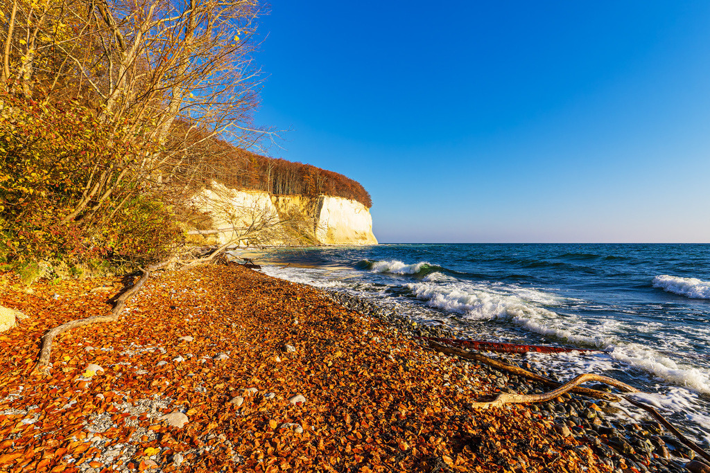 Kreidefelsen im Herbst an der Küste der Ostsee auf der Insel Rügen | Kreidefelsen im Herbst an der Küste der Ostsee auf der Insel Rügen.