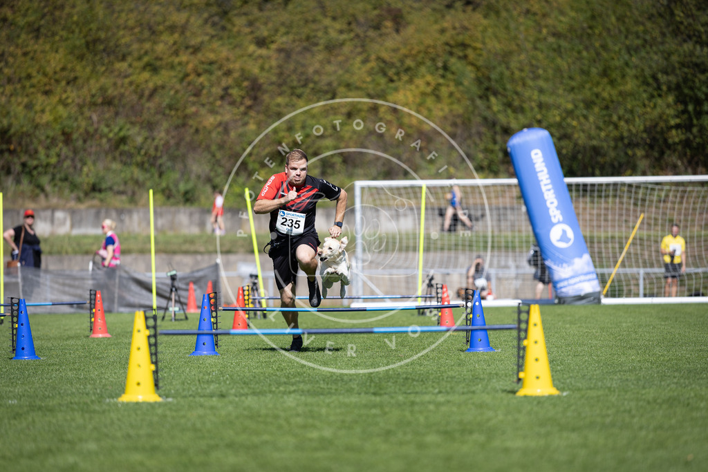 Pfotenfotografie_DV3A5796 | Hundefotografie, Tierfotograf, Pfotenfotografie, Fotoshooting Hund, Hunde Portrait, Hundesport, Hundeportraits, Heideshooting, Hunde, Sportfotograf, Hundefotograf, Turnierhundsport, THS,  - Realisiert mit Pictrs.com