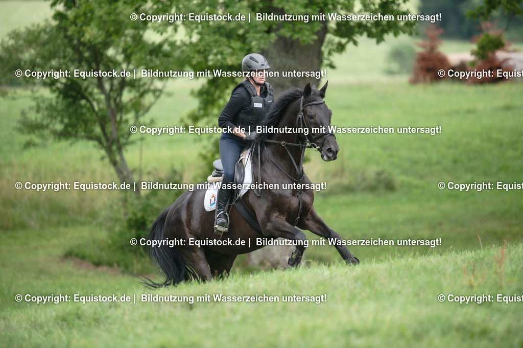 20250726_Vielseitigkeitslehrgang-Marbach_0705 | Foto: Thomas Hartig