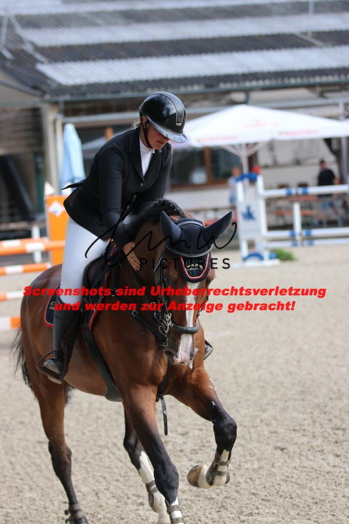 IMG_8655 | lmwpictures - Realisiert mit Pictrs.com