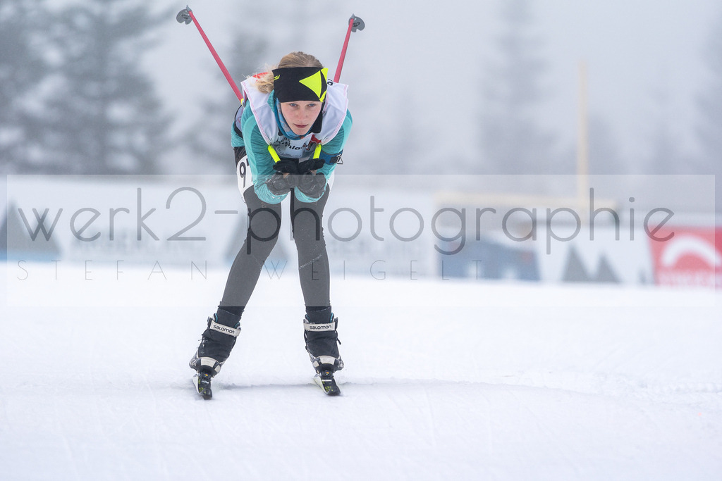 DSC Arber | Bayerischer Wald am 15. und 16. Januar 2022