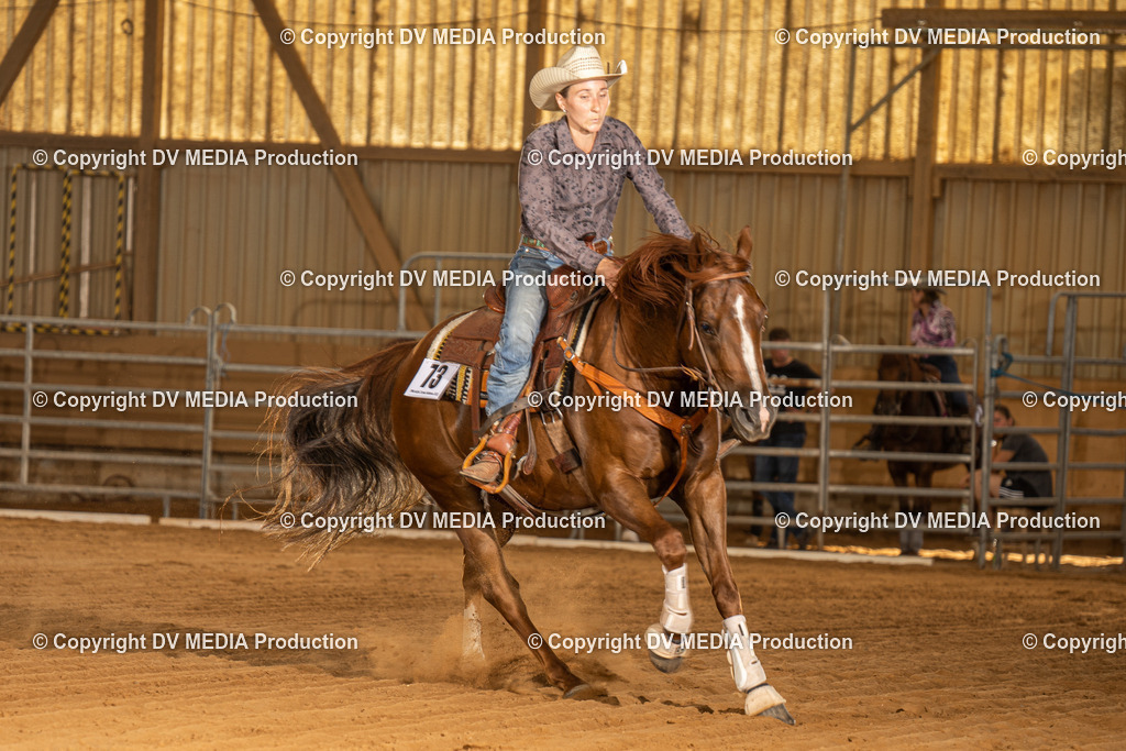 NID02287 | dv-media-shop - Realisiert mit Pictrs.com