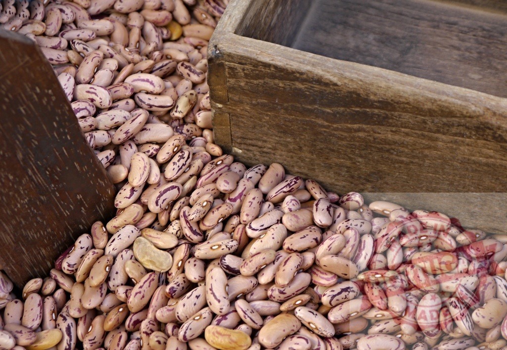 Borlotti beans filling a wooden crate | Borlotti beans scattered around a rustic wooden box, displaying harvest and abundance - Realized with Pictrs.com