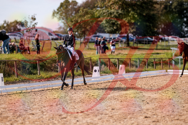 2026_10_03_Siefer-Hof_130718_Z81_58197960 | Professionelle Reitsport-, Turnier- und Eventfotografie von Robert Broda. Galerien mit ausgewählten und bearbeiteten Bildern direkt online ansehen und bestellen.