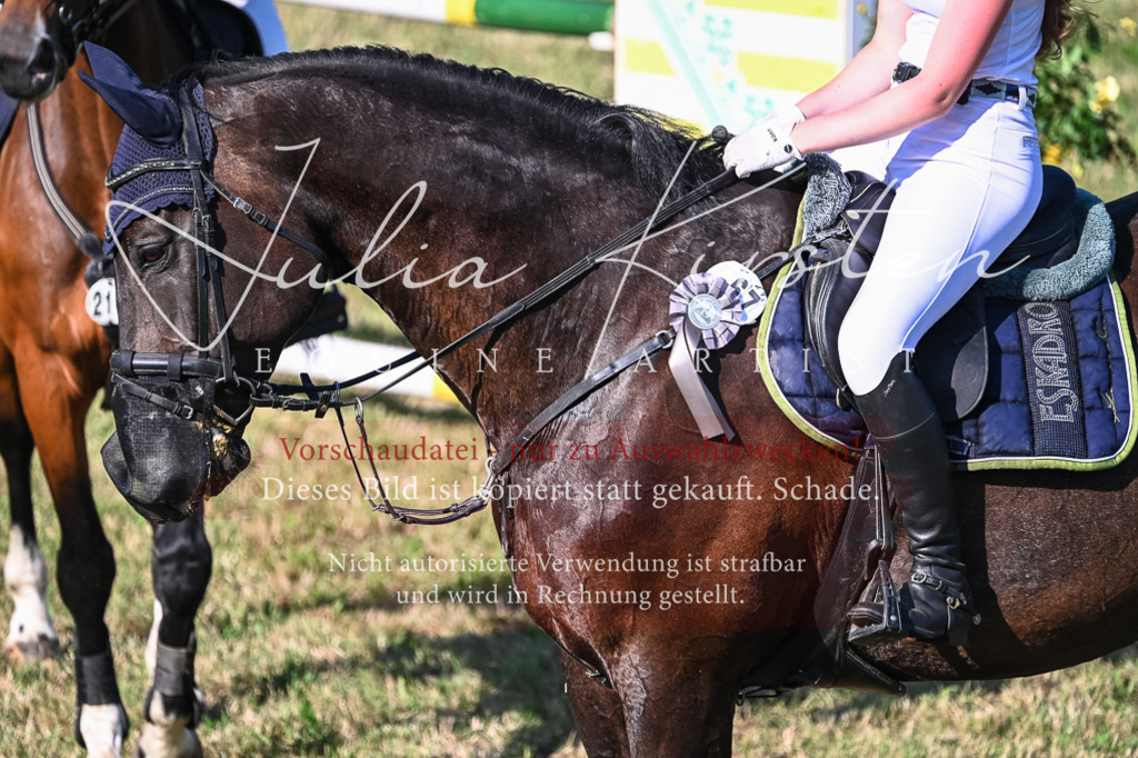 DSC_2617 | Pferde- und Turnierfotografie in Westsachsen. Pferdeportraits, Auftragszeichnungen und intuitive Kunst.
