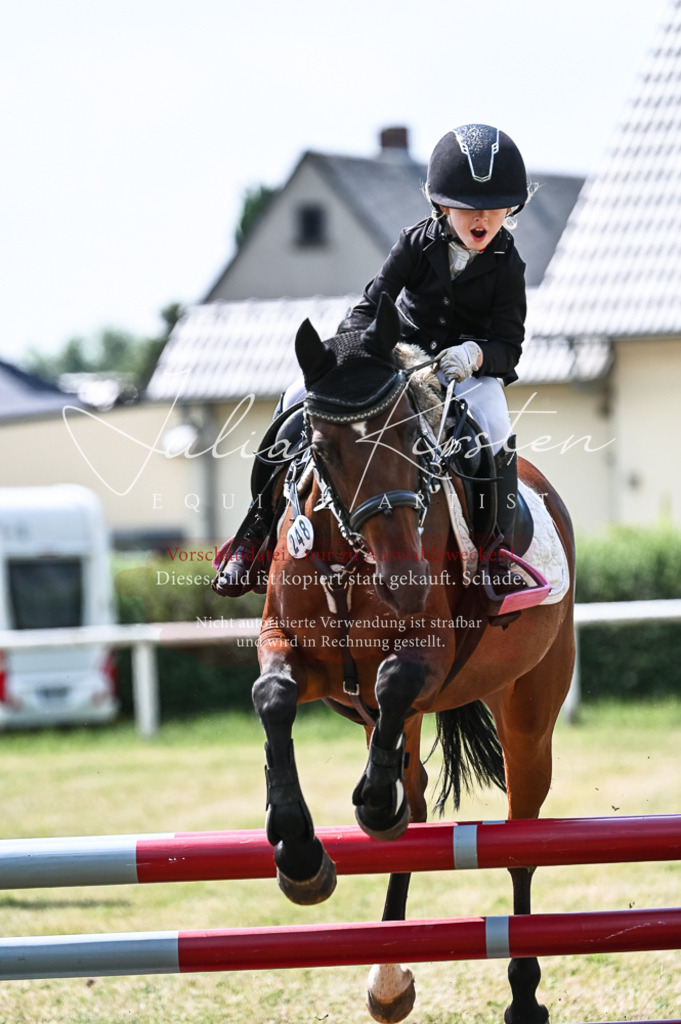 DSC_9356 | Pferde- und Turnierfotografie in Westsachsen. Pferdeportraits, Auftragszeichnungen und intuitive Kunst.