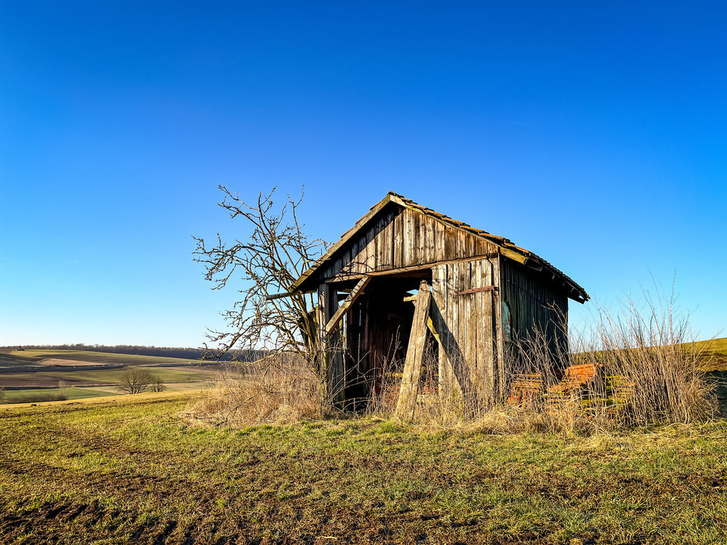Ruine aus Holz - Wenings | Niemand ist geduldiger als die Natur. Alles vom Menschen geschaffene wird von ihr früher oder später für das Ökosystem der Erde zurückerobert. Dabei entstehen surreale Kunstwerke, die die Ästhetik des Unvermeidbaren für einen Moment einfangen. Im steten Veränderungsdrang der Natur kann der wiederkehrende Beobachter den Lauf der Dinge erkennen. - Realisiert mit Pictrs.com