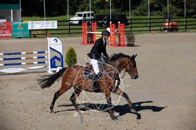 2B4A0408 | pixelfaenger - Realisiert mit Pictrs.com