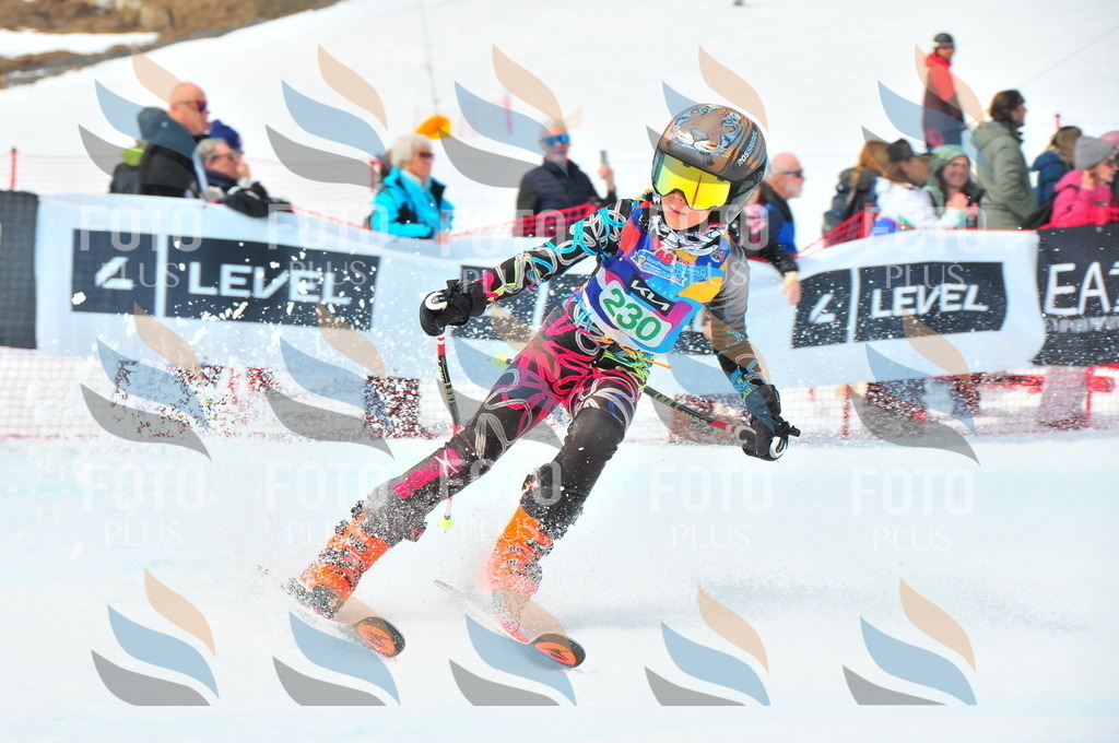 DSC_2136 | holidayphoto