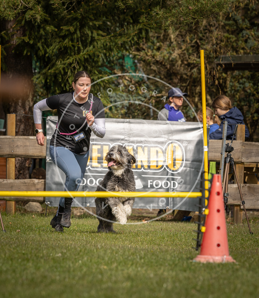 Pfotenfotografie_DV3A6328 | Hundefotografie, Tierfotograf, Pfotenfotografie, Fotoshooting Hund, Hunde Portrait, Hundesport, Hundeportraits, Heideshooting, Hunde, Sportfotograf, Hundefotograf, Turnierhundsport, THS,  - Realisiert mit Pictrs.com