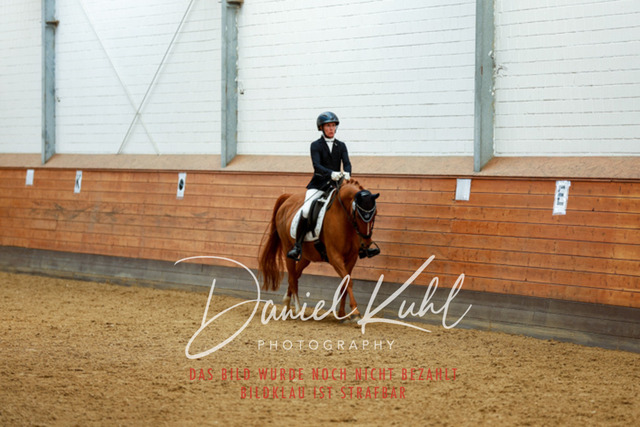 _62_4558 | Turniersportfotografie; Pferdefotografie; Dressurfotografie