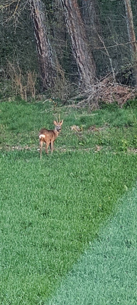 20210425_064500 | Heilkarten - Realisiert mit Pictrs.com