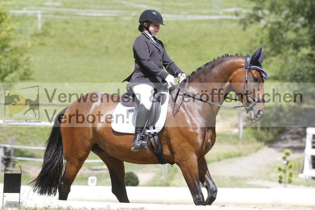 _MG_0856 | equestrian-live-com