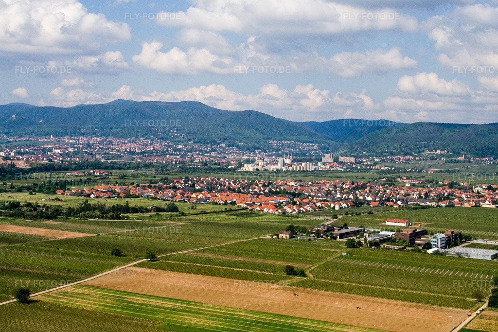 Luftbild: Ortsansicht von Osten im Ortsteil Mußbach in Neustadt im Bundesland Rheinland-Pfalz in Deutschland. Foto: IMG_2154.jpg vom 03.06.2006 durch Werner Riehm/FLY-FOTO.de