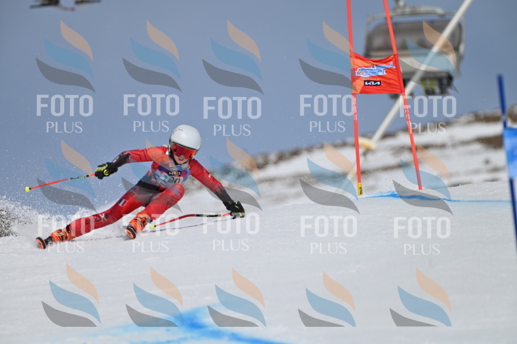 BGV_3530 | holidayphoto