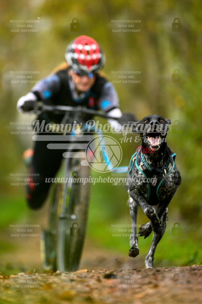 MompixPhotography_20TSB_E6_DS1-32 | PayLife