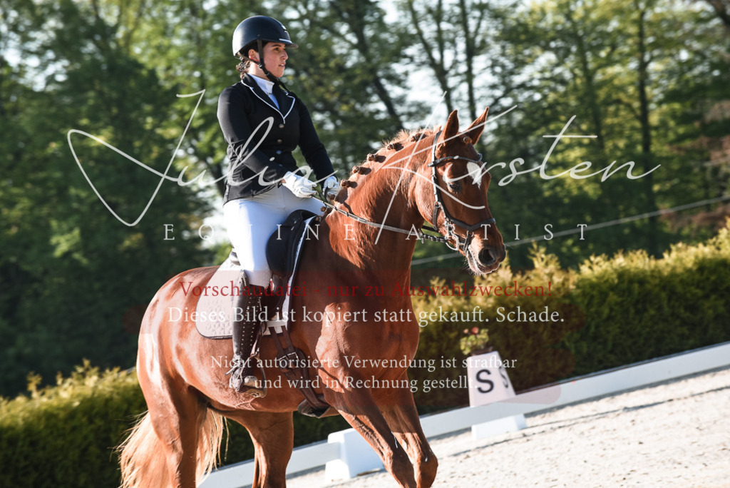 20230518_JK-Röhrsdorf-09-0144 | Pferde- und Turnierfotografie in Westsachsen. Pferdeportraits, Auftragszeichnungen und intuitive Kunst.