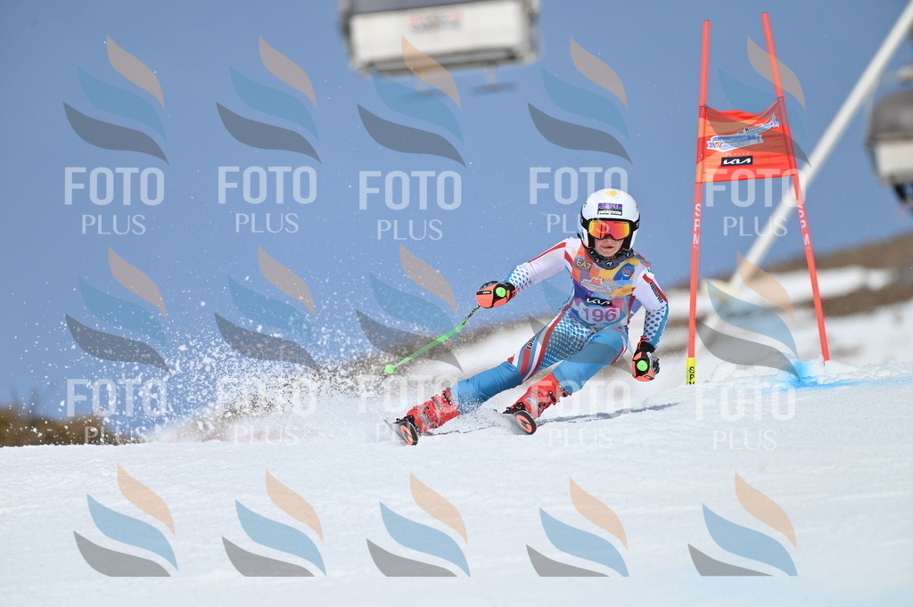 BGV_0894 | holidayphoto