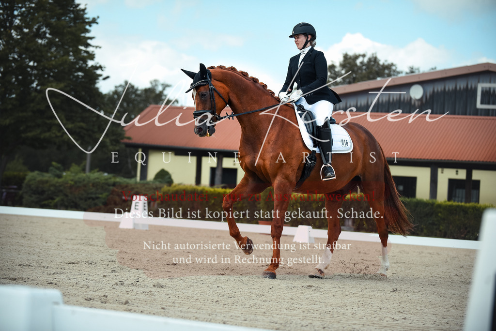 DSC_9110 | Pferde- und Turnierfotografie in Westsachsen. Pferdeportraits, Auftragszeichnungen und intuitive Kunst.