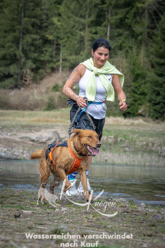1100_ZZ92687 | kk-dogfotos