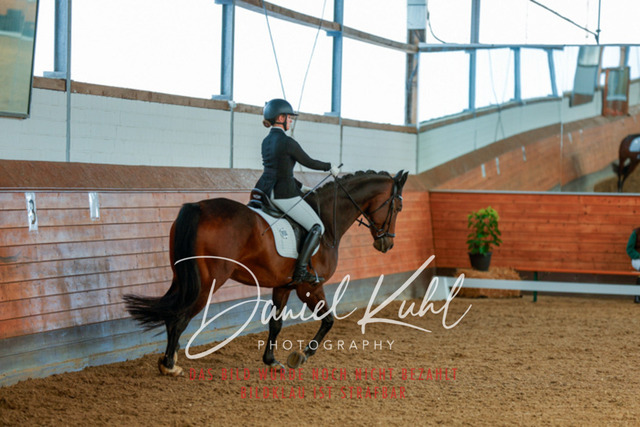 _62_6729 | Turniersportfotografie; Pferdefotografie; Dressurfotografie