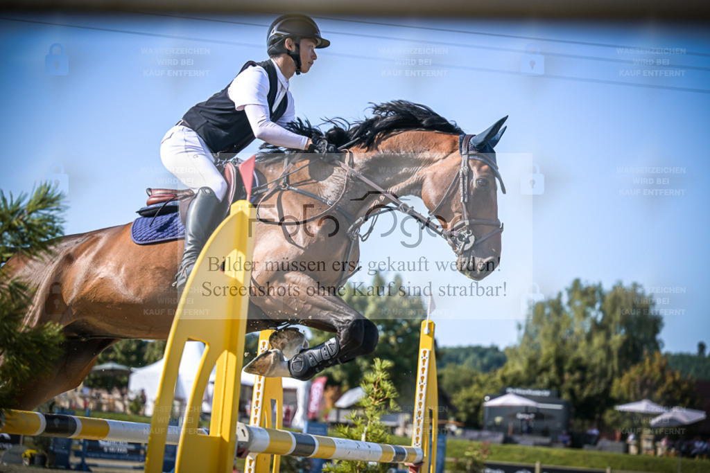DOS_3917 | Entdecke hochwertige Reitturnierfotos von Foto Oger. Professionell, emotional und authentisch – jetzt Lieblingsmomente im Shop bestellen. - Realisiert mit Pictrs.com