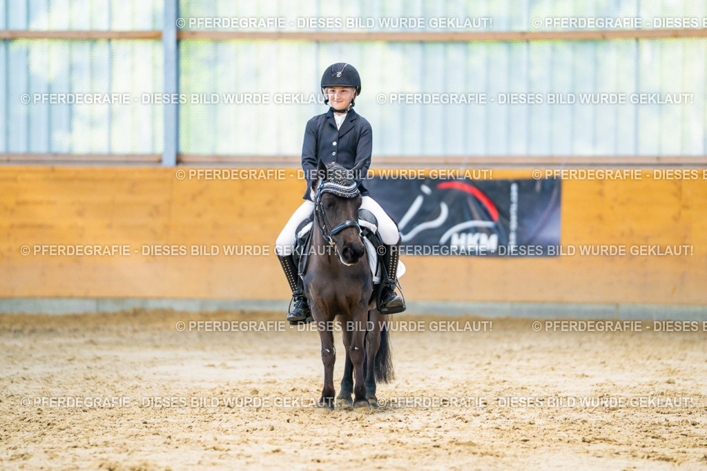 DSC06635 | Pferdegrafie