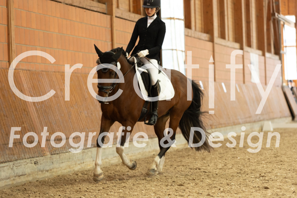 IMG_6114 | Creatify Fotografie