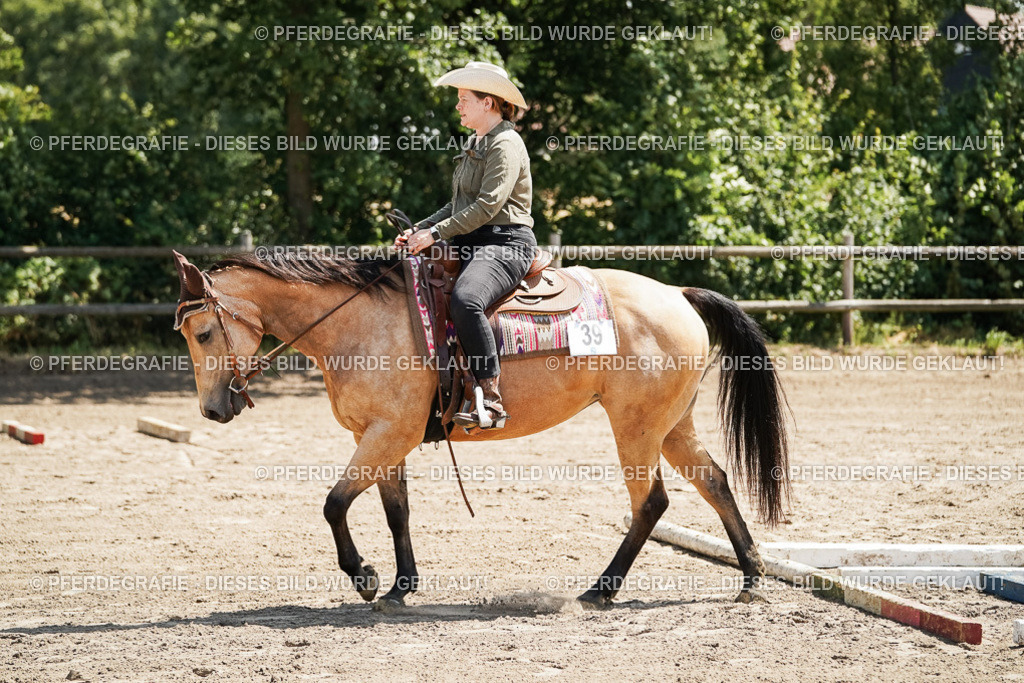 DSC06644 | Pferdegrafie