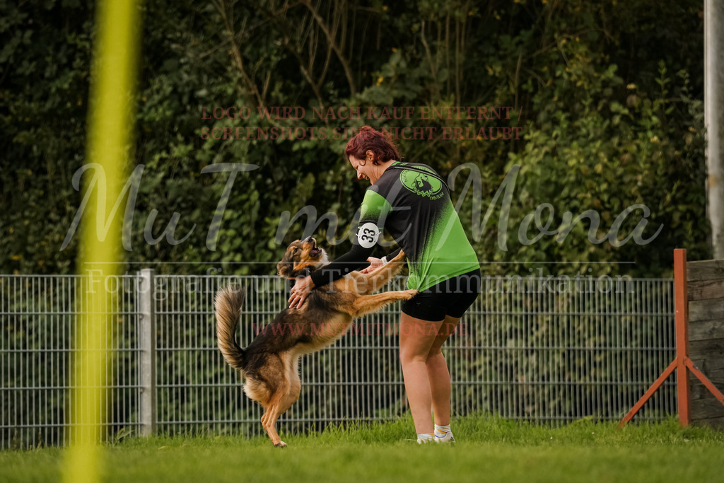 20251005_THS_Turnier-594 | MuT (Mensch und Tier) mit Mona - Fotografie und Tierkommunikation - Realisiert mit Pictrs.com
