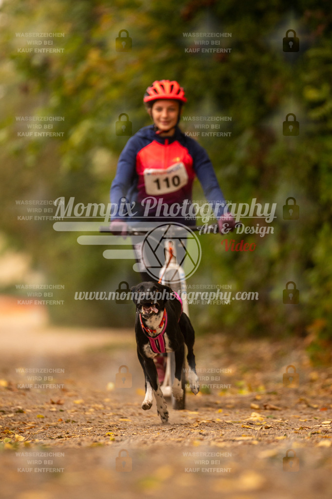 CDLBDB_14_10_2023_Samedi-171 | PayLife