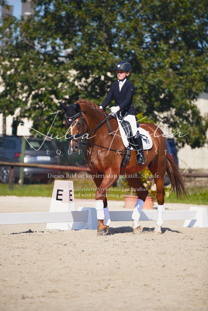 DSC_0044 | Pferde- und Turnierfotografie in Westsachsen. Pferdeportraits, Auftragszeichnungen und intuitive Kunst.