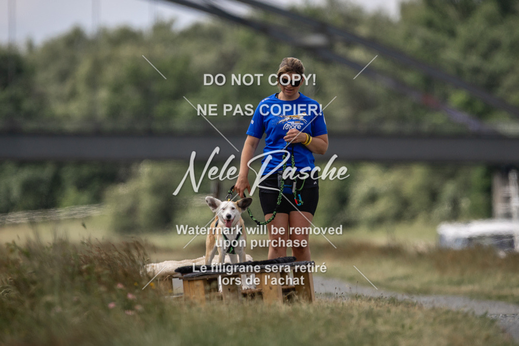 nelerasche_BuHu2026_SaCC1100-1200_99 | nelerasche