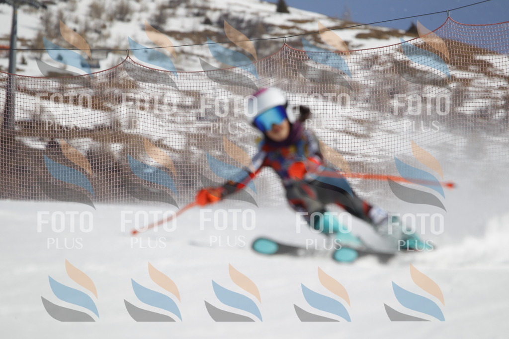 _U3G9538 | holidayphoto