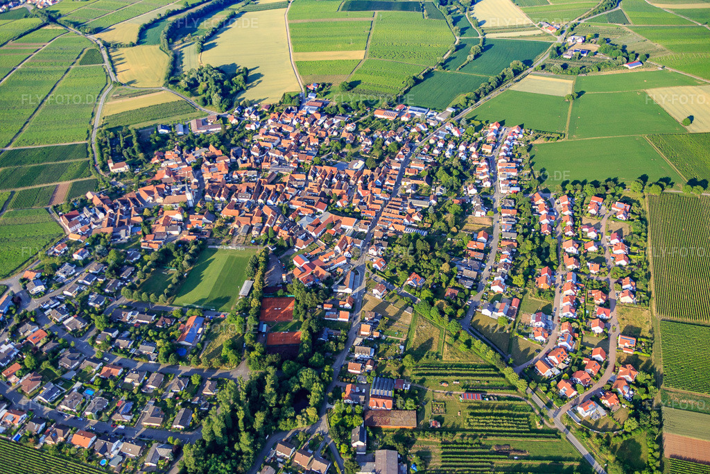 Luftbild: Dorfübersicht aus Westen im Ortsteil Mörzheim in Landau im Bundesland Rheinland-Pfalz in Deutschland. Foto: IMG_082643.jpg vom 25.06.2015 durch Werner Riehm/FLY-FOTO.de