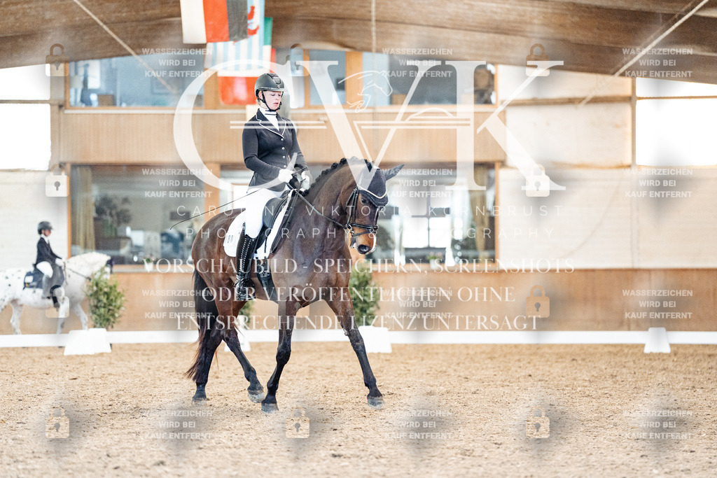 CK908773 | Turnierfotografie Pferdefotografie Trier Rheinland-Pfalz Pferdesport Reitsport Tierfotografie Sportfotografie Pferdevideo Pferdevideografie Equestrianvideography equestrianphotography  - Realized with Pictrs.com