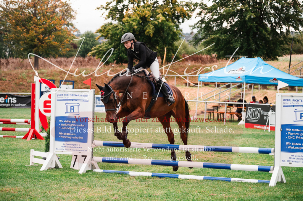 DSC_5818 | Pferde- und Turnierfotografie in Westsachsen. Pferdeportraits, Auftragszeichnungen und intuitive Kunst.