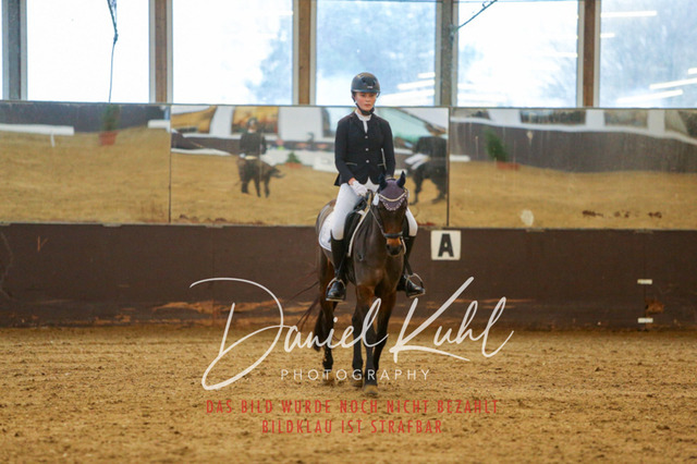 IMG_8040 | Turniersportfotografie; Pferdefotografie; Dressurfotografie