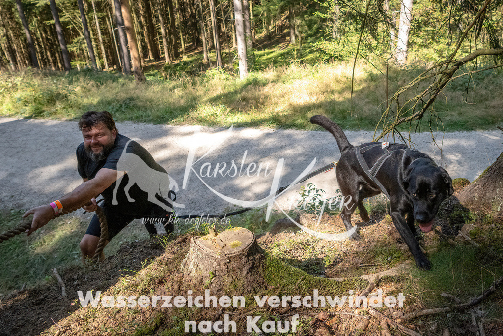 1240_ZZ94802 | kk-dogfotos