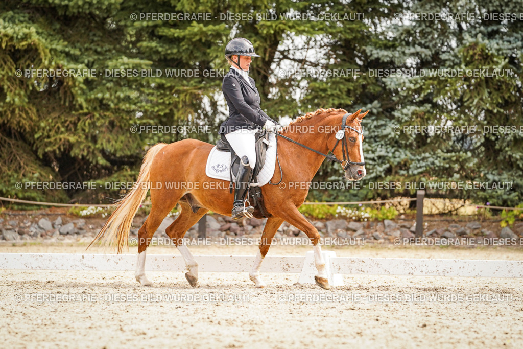 DSC02134 | Pferdegrafie