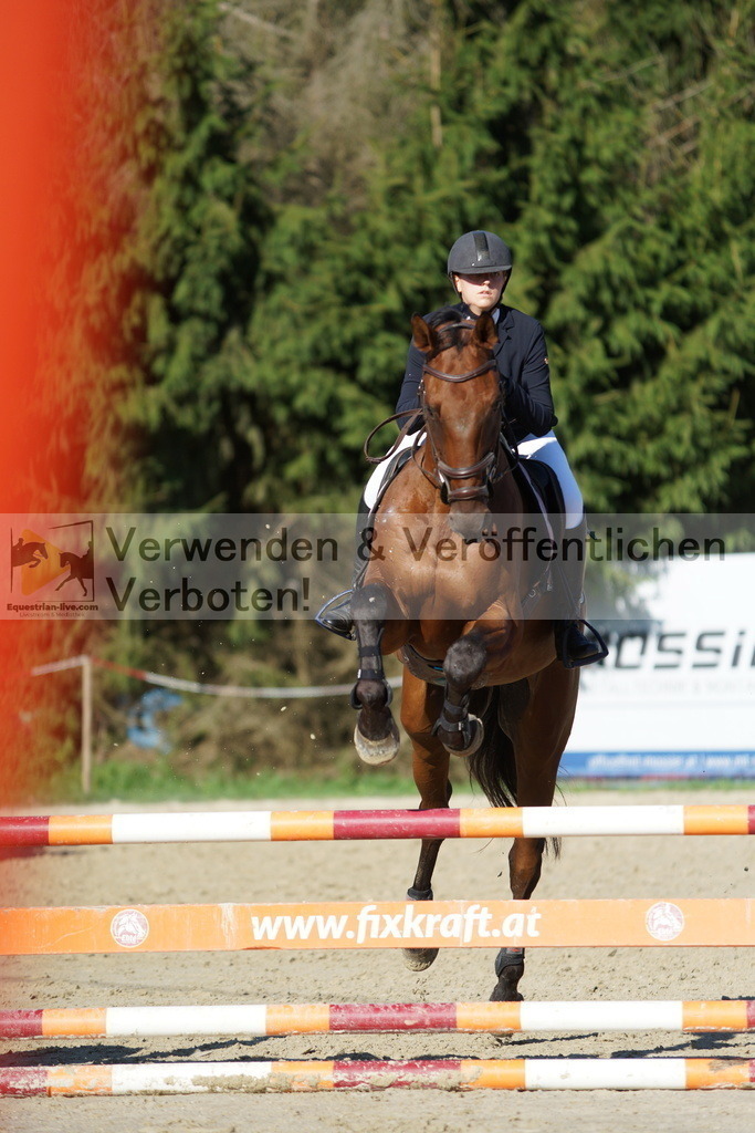 DSC09559 | equestrian-live-com