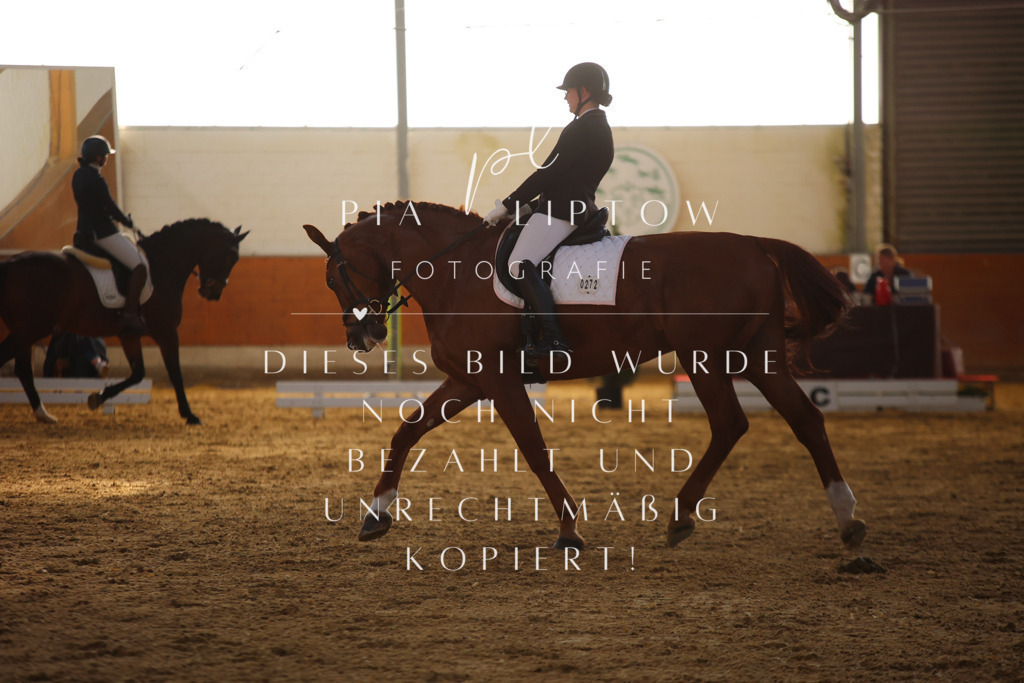 IMGT6456 | pl-fotografie