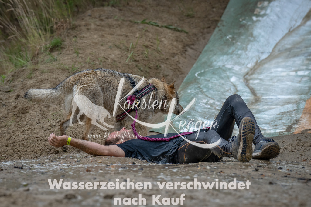 1649_ZZ90524-Bearbeitet | kk-dogfotos