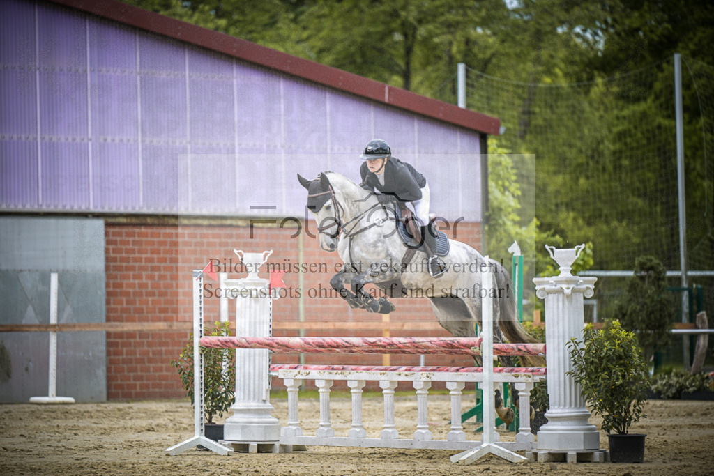 DOS_6484 | Entdecke hochwertige Reitturnierfotos von Foto Oger. Professionell, emotional und authentisch – jetzt Lieblingsmomente im Shop bestellen.Deutschlandweite Turnierfotografie. - Realisiert mit Pictrs.com