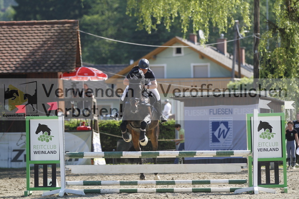 _MG_8399 | equestrian-live-com