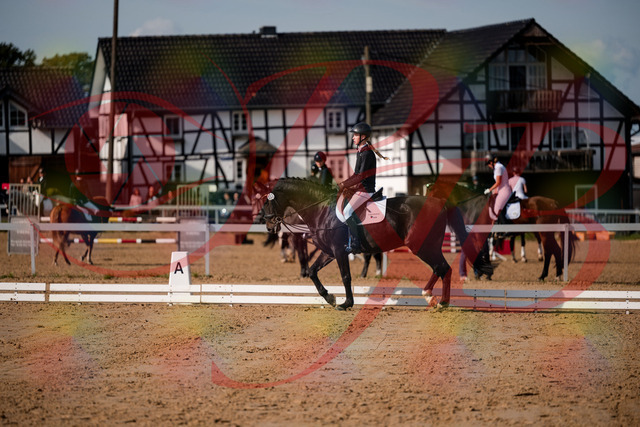 2026_10_03_Siefer-Hof_115453_Z63_30185274 | Professionelle Reitsport-, Turnier- und Eventfotografie von Robert Broda. Galerien mit ausgewählten und bearbeiteten Bildern direkt online ansehen und bestellen.