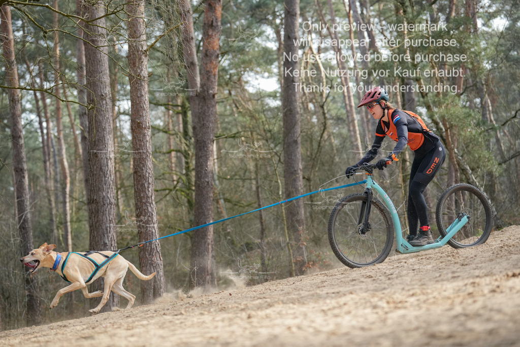 Scooter2-13 | stephaniefillaphotographie - Realisiert mit Pictrs.com