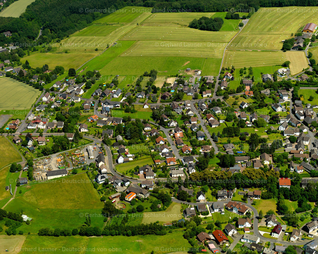 3105442 | Fluterschen