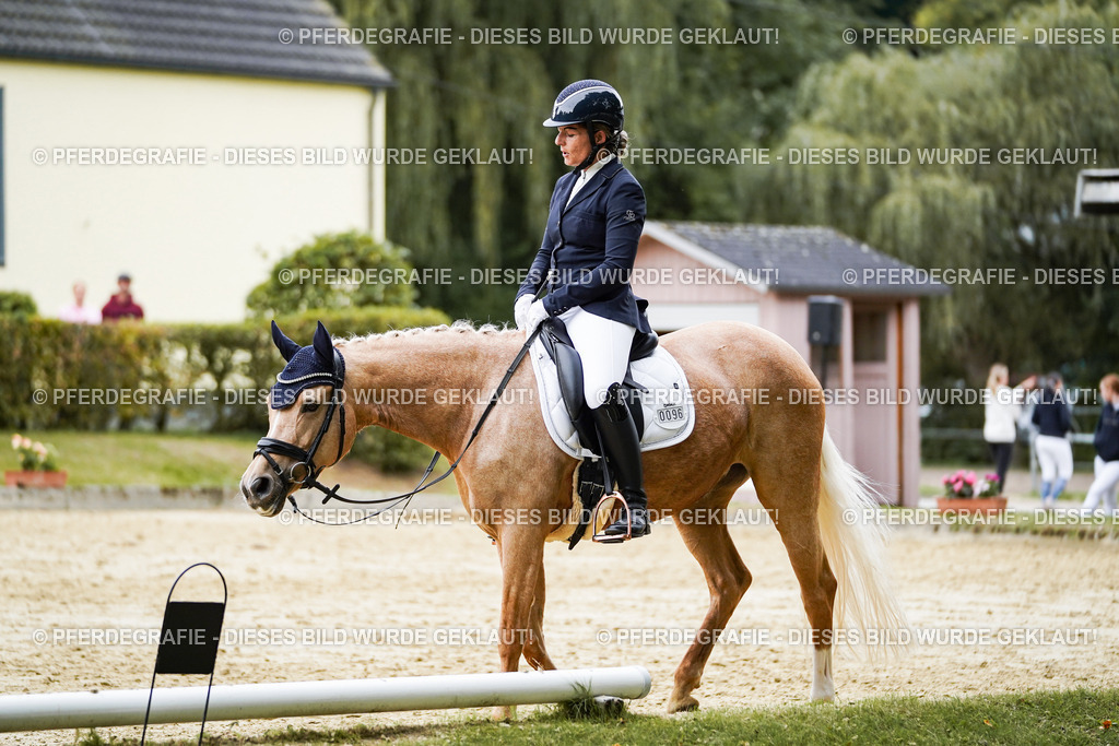 DSC09138 | Pferdegrafie