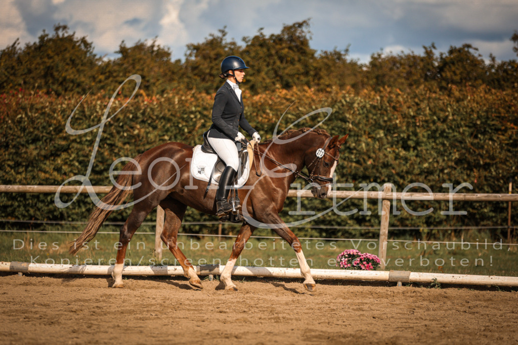 15.SaDrL00454 | Leoni Ertmer Photography - Realisiert mit Pictrs.com